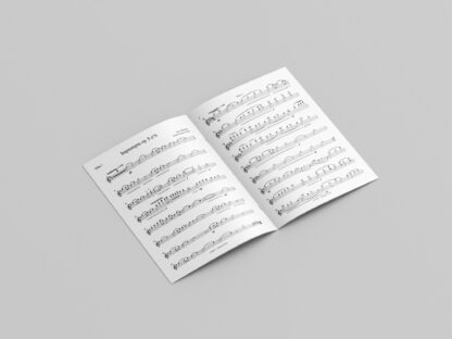 SIBELIUS Impromptu – Image 3