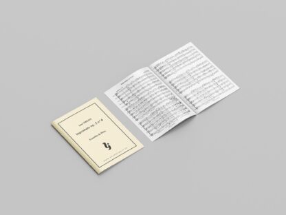SIBELIUS Impromptu – Image 2